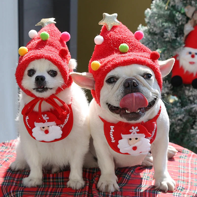 Holiday Pet Outfit ( Hat + Scarf )